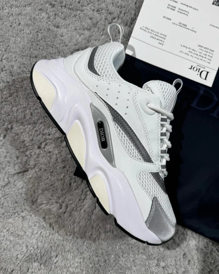 Dior B22 - White/Grey
