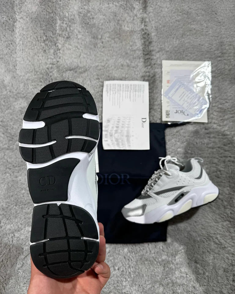 Dior B22 - White/Grey