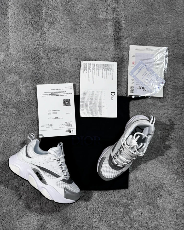 Dior B22 - White/Grey