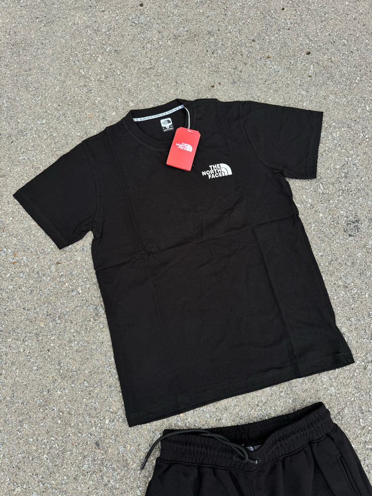 CONJUNTO THE NORTH FACE - NEGRO