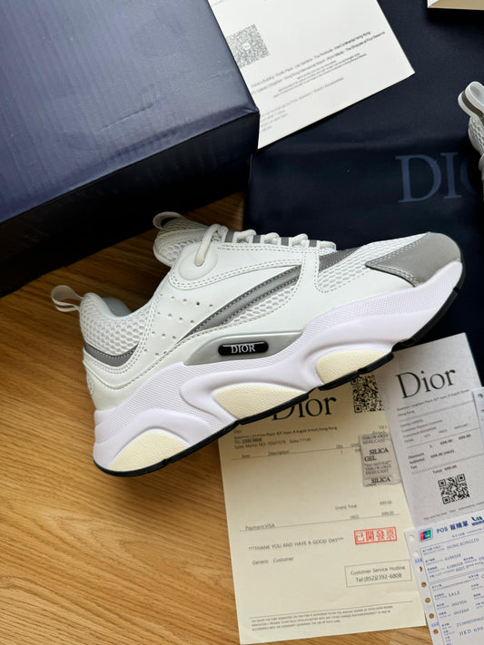 Dior B22 - White/Grey
